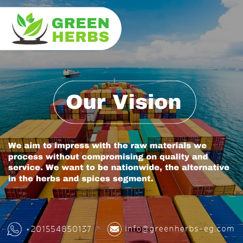 Our Vision